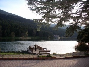 bolu gölcük orman bakanlığı köşkü