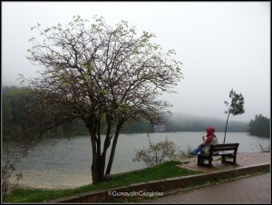 bolu golcuk piknik alanı